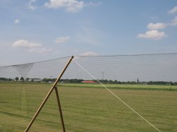 Freundschaftsfliegen